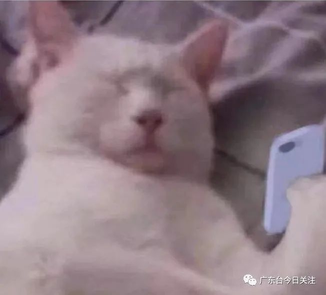 DƬ